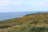 IMG_1017_Pointe du Raz