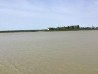 …und noch mehr Kunst