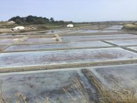 traditionelle Salzgewinnung