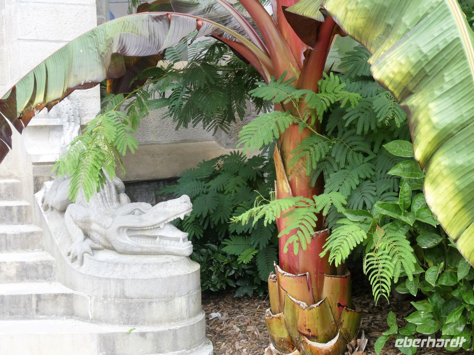 eins von zwei Krokodilen am Eingang