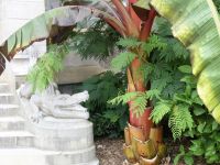 eins von zwei Krokodilen am Eingang