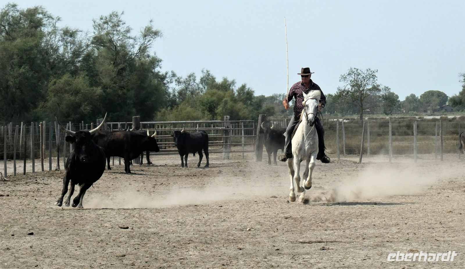 Arbeit der Guardiens (französische Viehhüter)