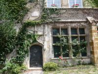 Natur sucht sich den Weg