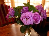 Willkommen im Hotel Saint Paul