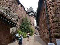 auf dem Weg zur Hohkönigsburg