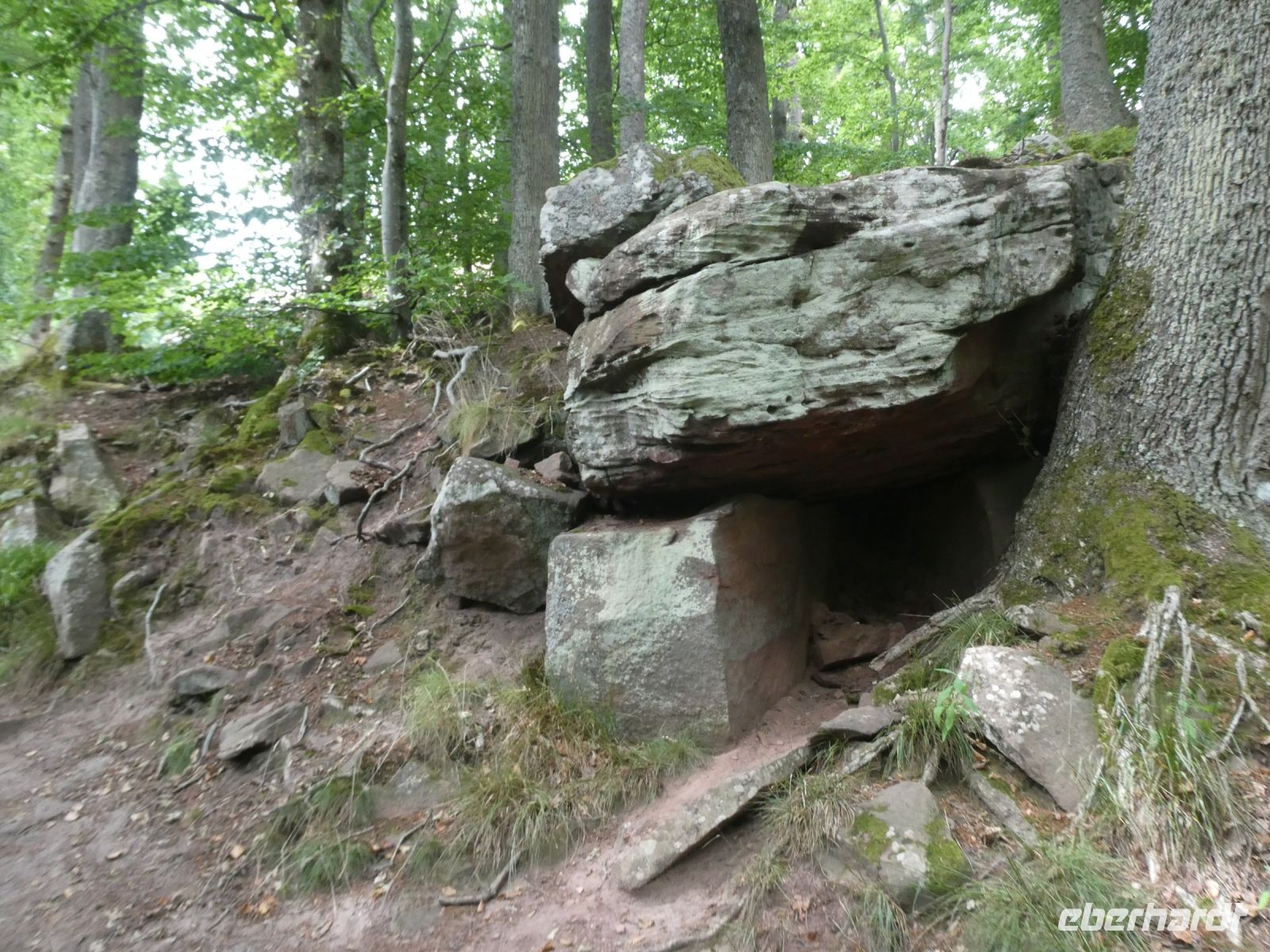 an der Hohkönigsburg