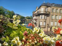 Metz, Blick über die Mosel