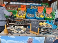 Cancale, Austernmarkt