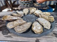 20220721_145609.jpgPazifische Felsenauster, mittelgross