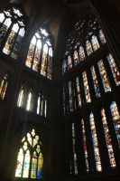 6500 qm Fensterfront