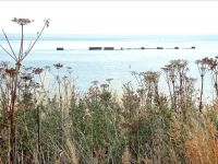 Reste der Landungsbrücken