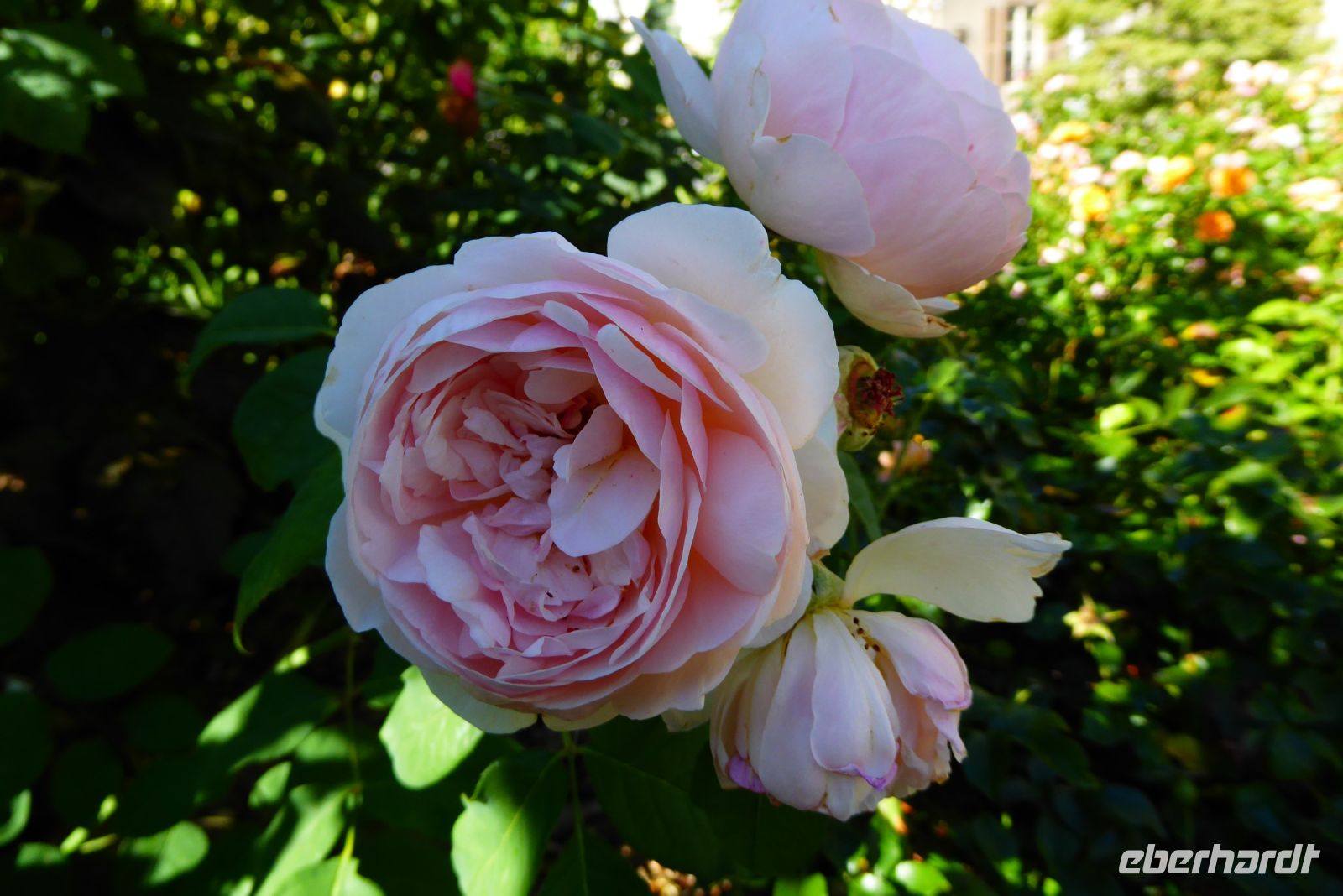 Tag 2 07.08.2022 Troyes 