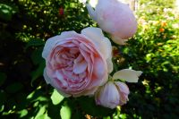 Tag 2 07.08.2022 Troyes 