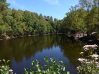 Tag 3 08.08.2022 Wanderung im Wald von Brocéliande