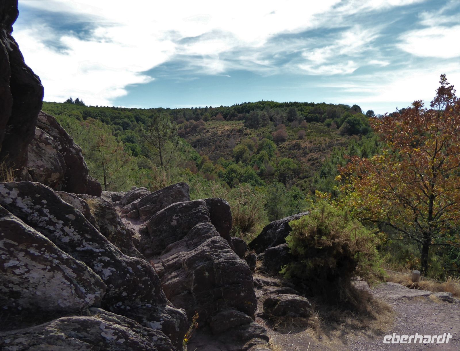 Tag 3 08.08.2022 Wanderung im Wald von Brocéliande 