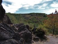 Tag 3 08.08.2022 Wanderung im Wald von Brocéliande 