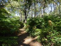 Tag 4 09.08.2022 Wanderung nach Erdeven