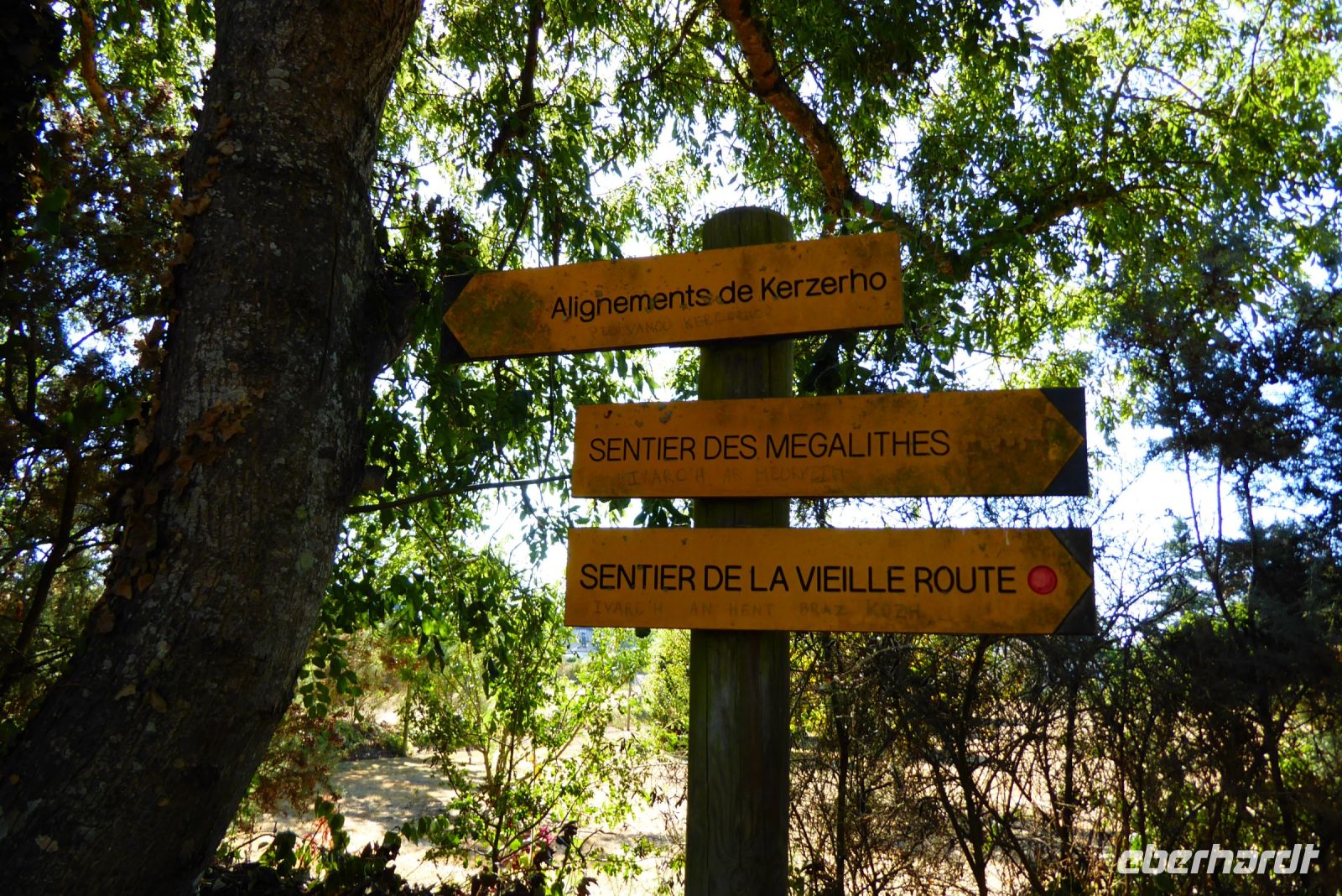 Tag 4 09.08.2022 Wanderung nach Erdeven