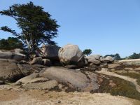 Tag 7 12.08.2022 Wanderung auf der Halbinsel Renote