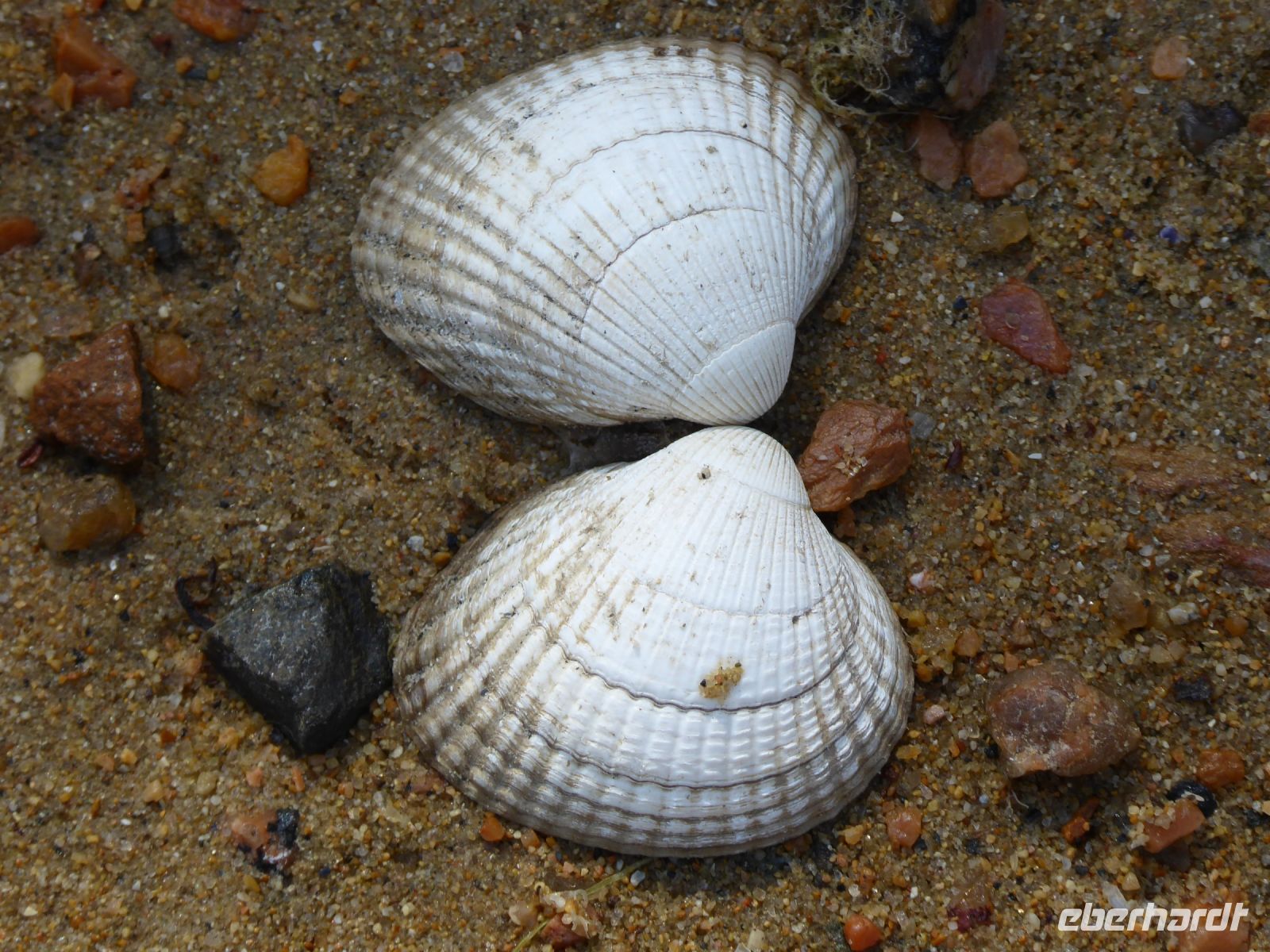 Tag 7 12.08.2022 Wanderung auf der Halbinsel Renote
