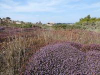 Tag 8 13.08.2022 Wanderung entlang des Zöllnerpfades  