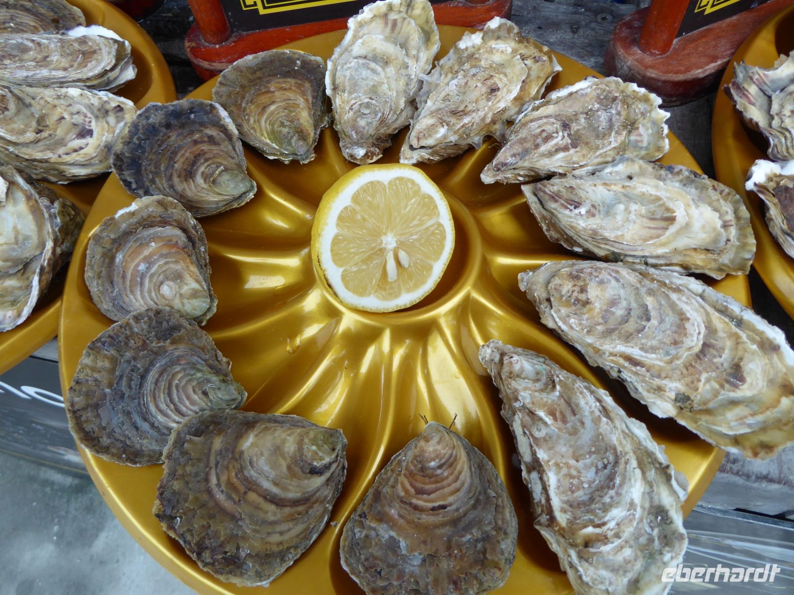 Tag 9 14.08.2022 Austernverkostung in Cancale