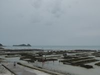 Tag 9 14.08.2022 Austernzucht in Cancale