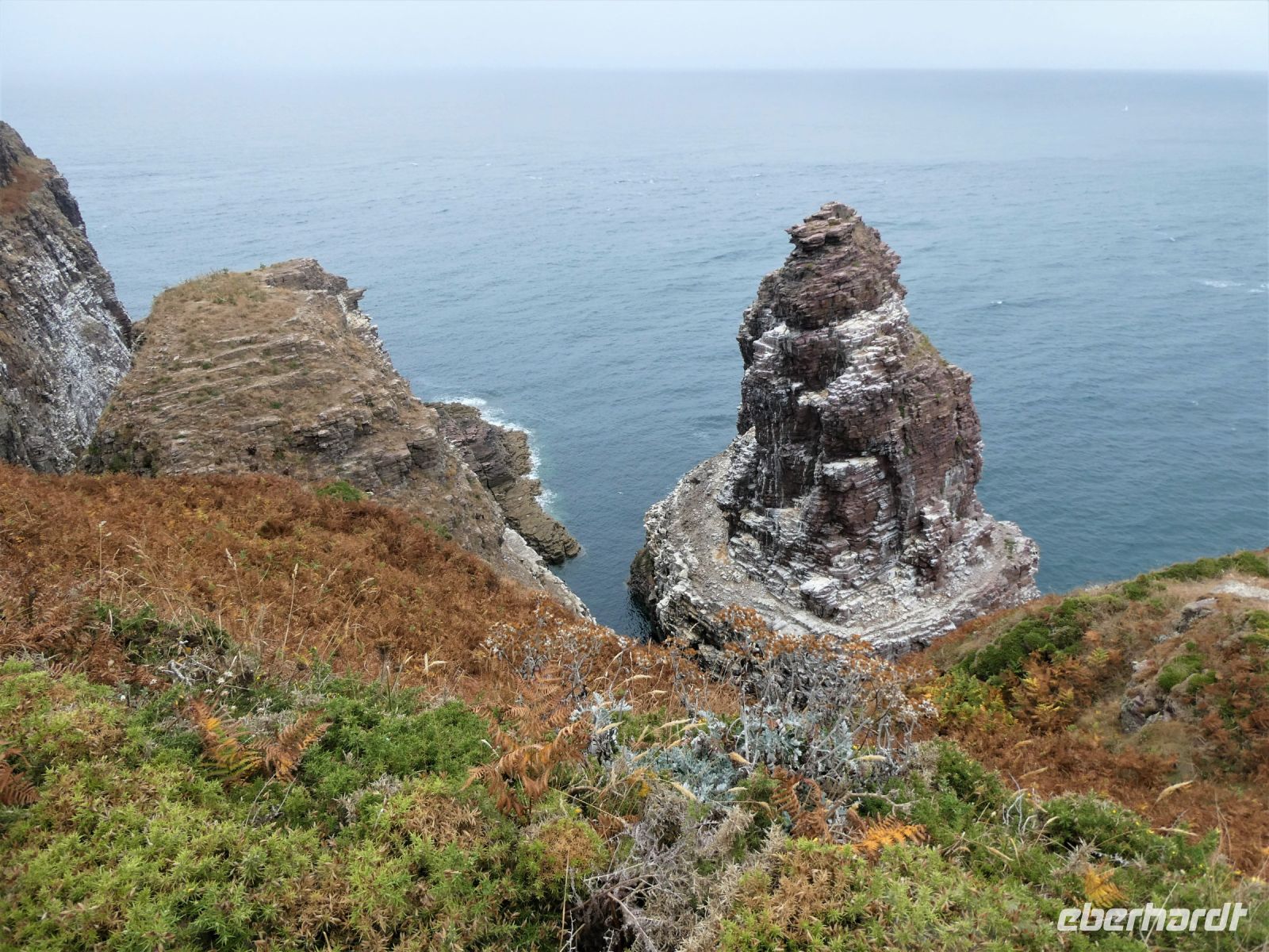 Vogelfelsen am Cap Fréhel