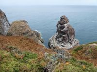 Vogelfelsen am Cap Fréhel