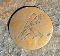 der Hermelin zeigt den Weg