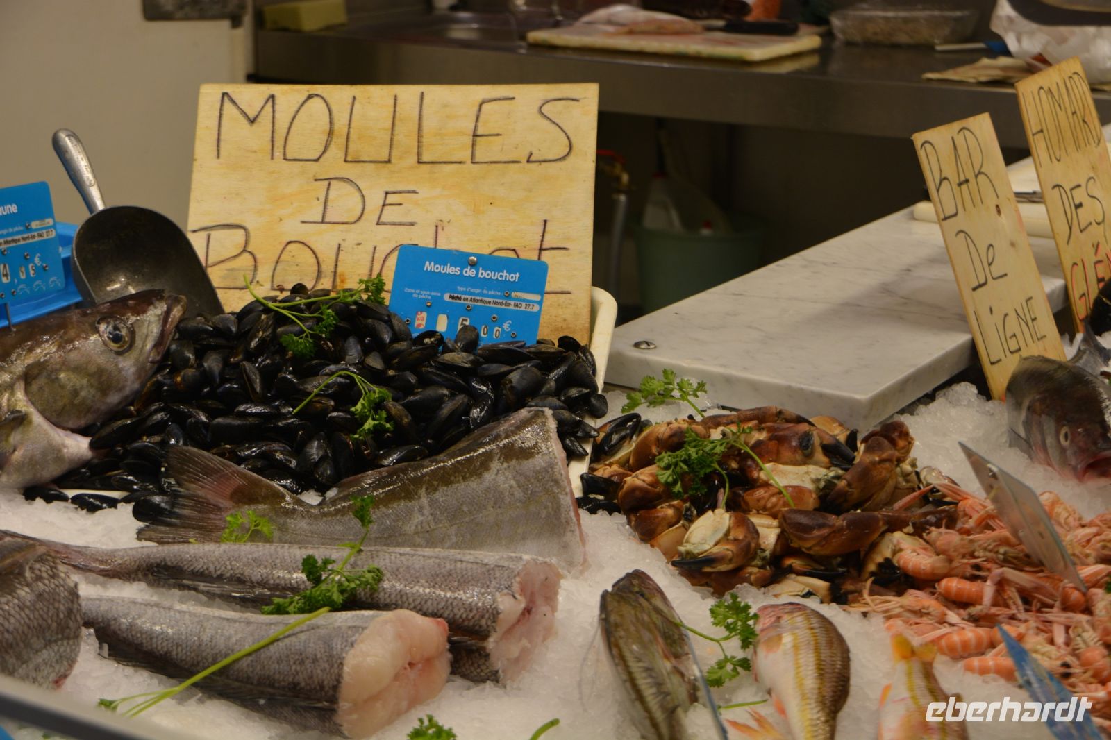 was das Meer hergibt