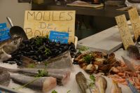 was das Meer hergibt