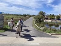 Camargue - Erkundungen zu Pferd