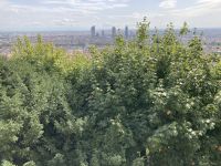 Links ist der Mont Blanc....