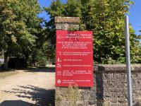 Cluny und die Pferde