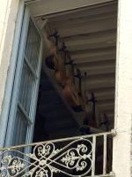 Nicht der Himmel voller Geigen, aber viele Zupfinstrumente an der Decke!