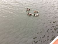 freundliche Morgenbegrüßung