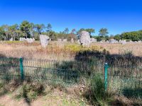 Menhire in Carnac