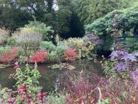 Im Garten von Claude Monet