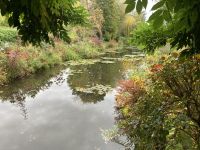 Reflexionen im Garten Monets