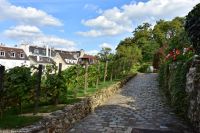 Spaziergang im Montmartre-Viertel - Weinberge