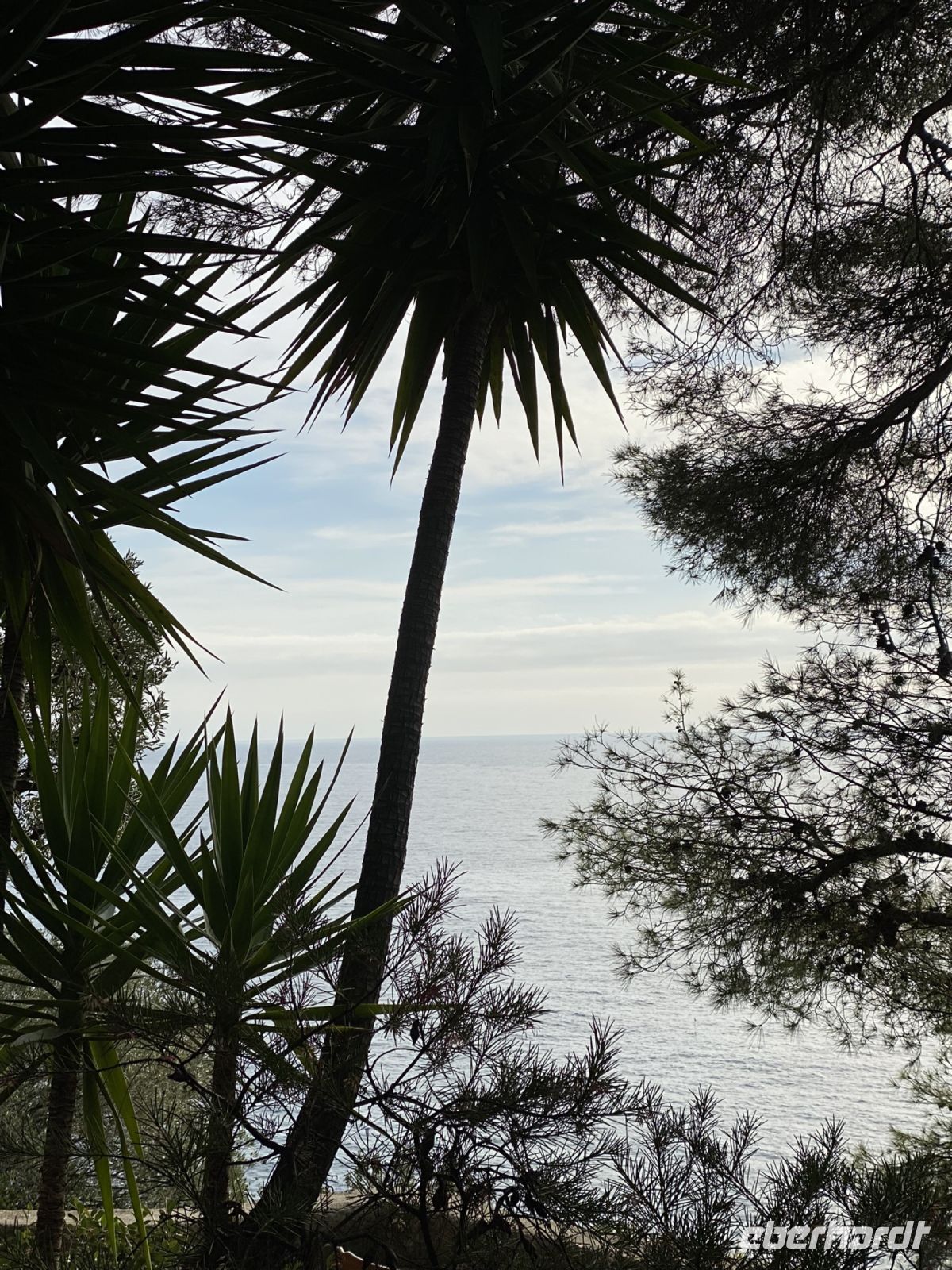 Blick auf das Mittelmeer vom Parcours Princess Grace .JPEG