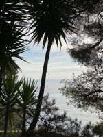 Blick auf das Mittelmeer vom Parcours Princess Grace .JPEG