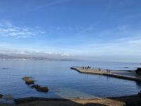 Bucht im Hafen von St. Tropez .JPEG