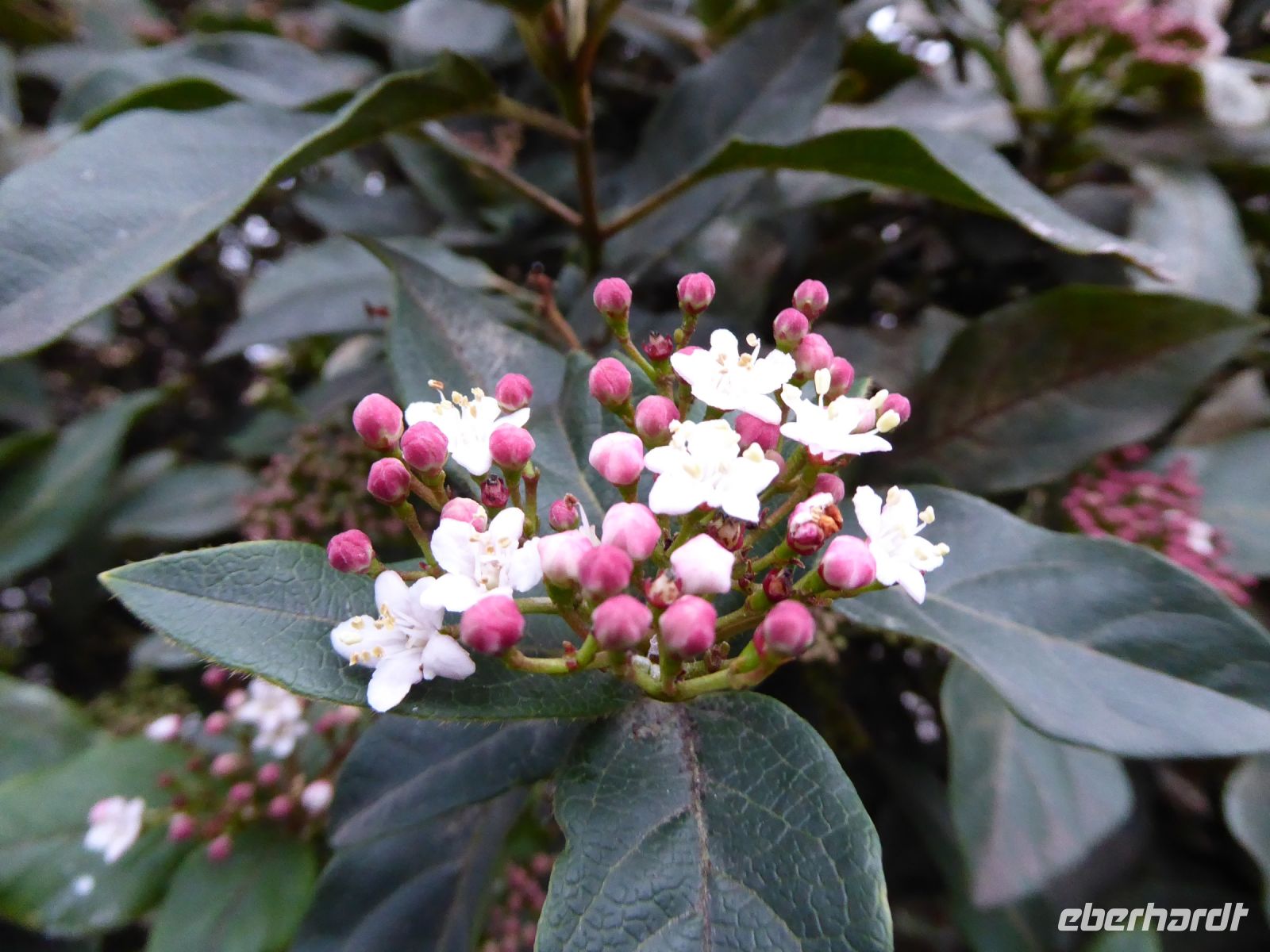 Tag 3 31.12.2022 Silvesterreise Paris  