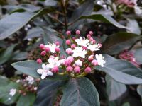 Tag 3 31.12.2022 Silvesterreise Paris  