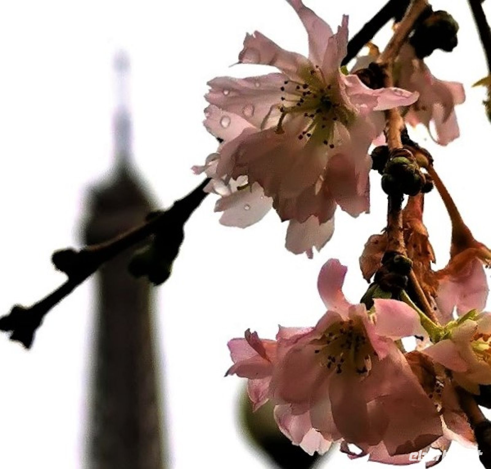 Silvesterreise 2022/23  Au revoir à Paris au printemps