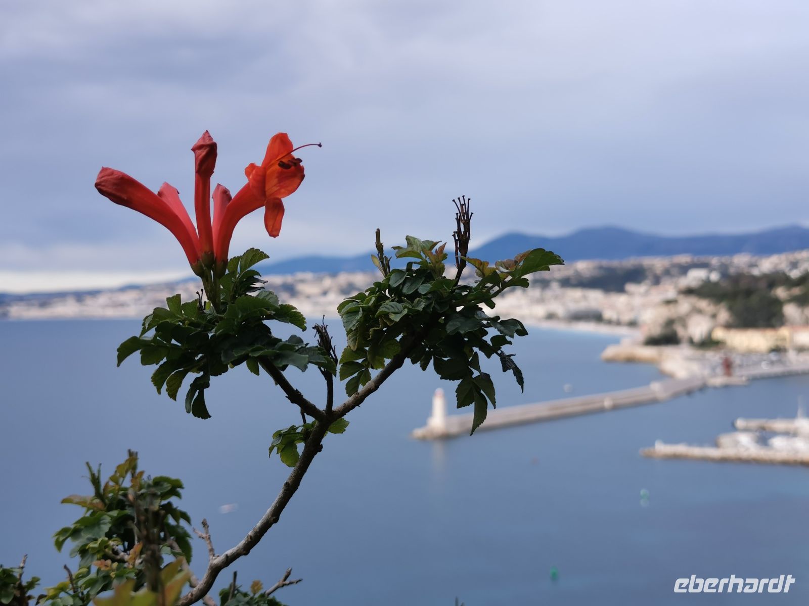 Tag 2 Stadtrundfahrt Nizza