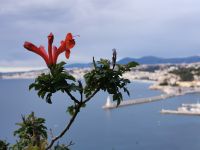 Tag 2 Stadtrundfahrt Nizza