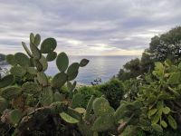 Tag 2 Stadtrundgang Nizza